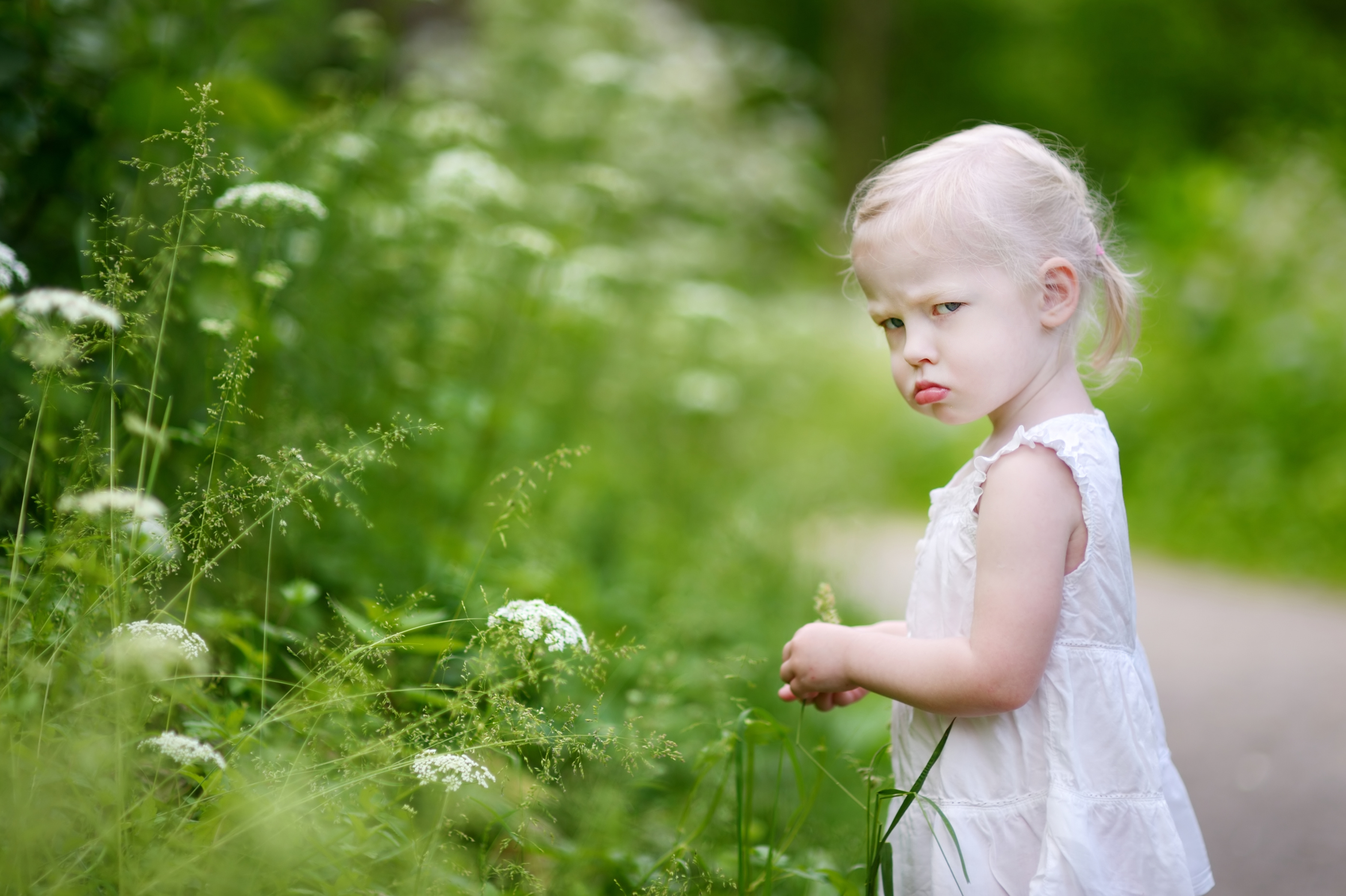 Tips and tricks for surviving toddler tantrums without losing control or being pulled into the emotion