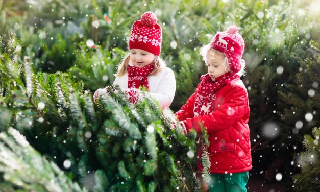 27 family Christmas traditions for families of toddlers