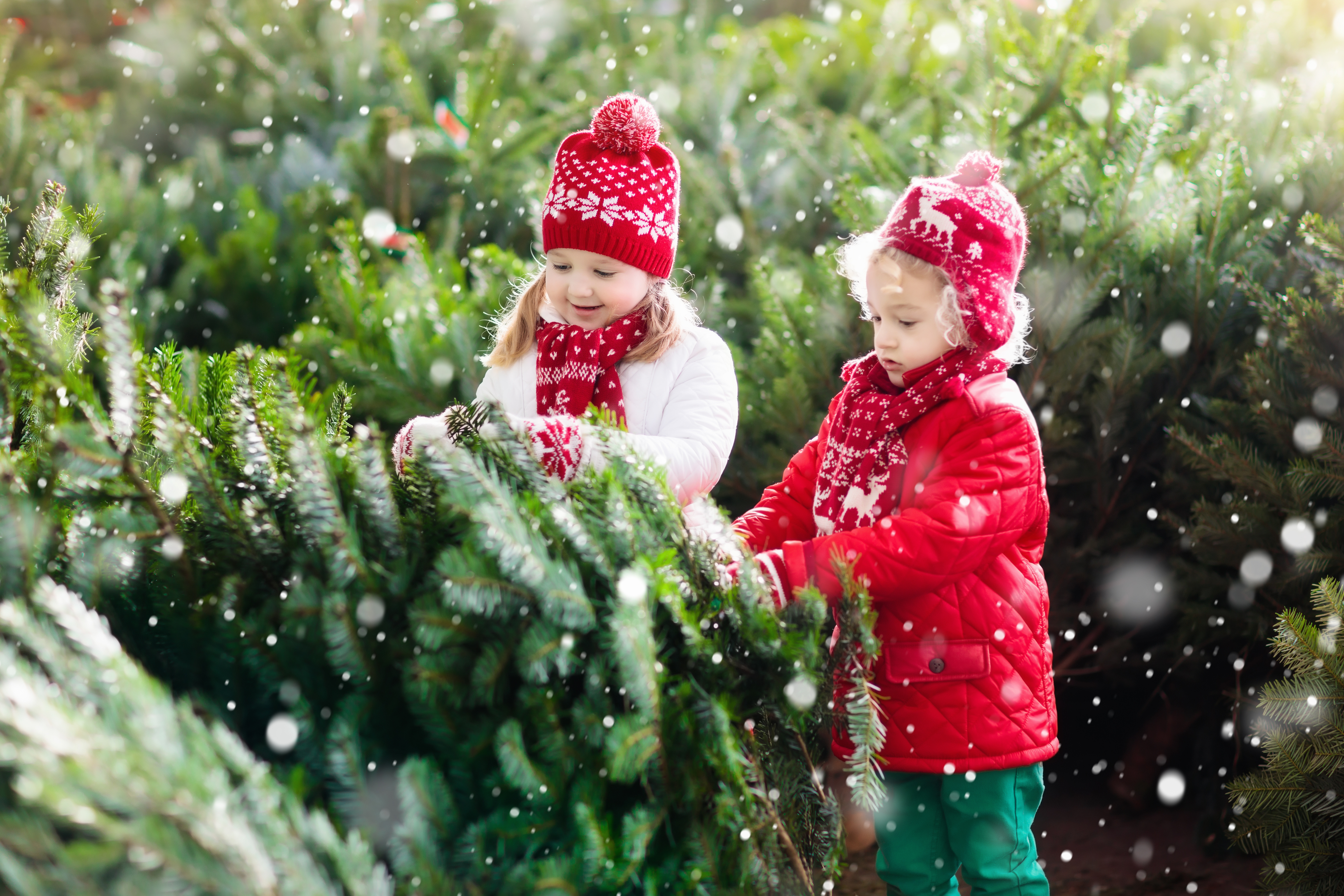 toddler and children love christmas so this helpful list of family traditions for kids