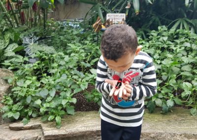 boy holding butterfly