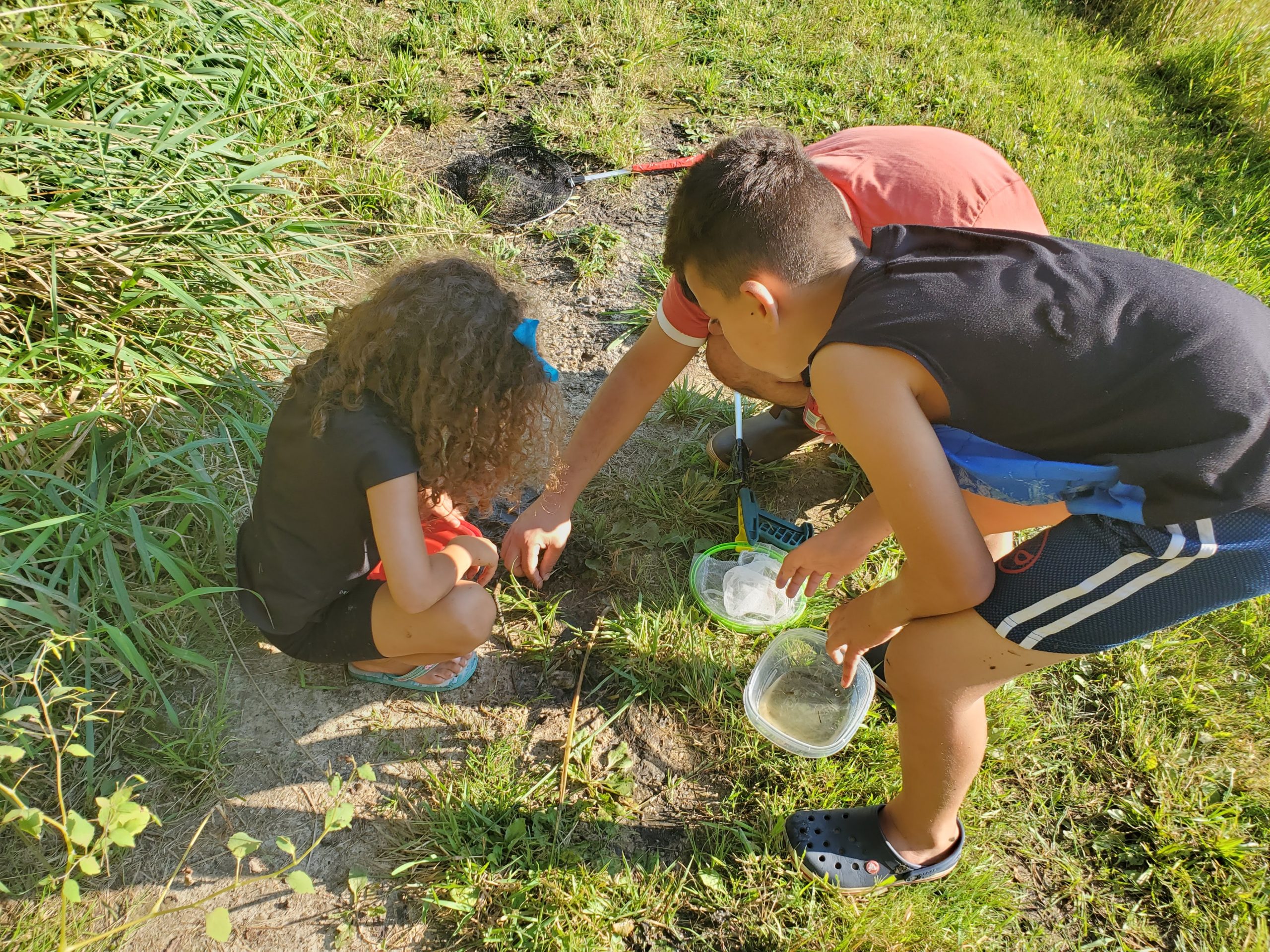 kids examining a frog near a pond at nature camp
