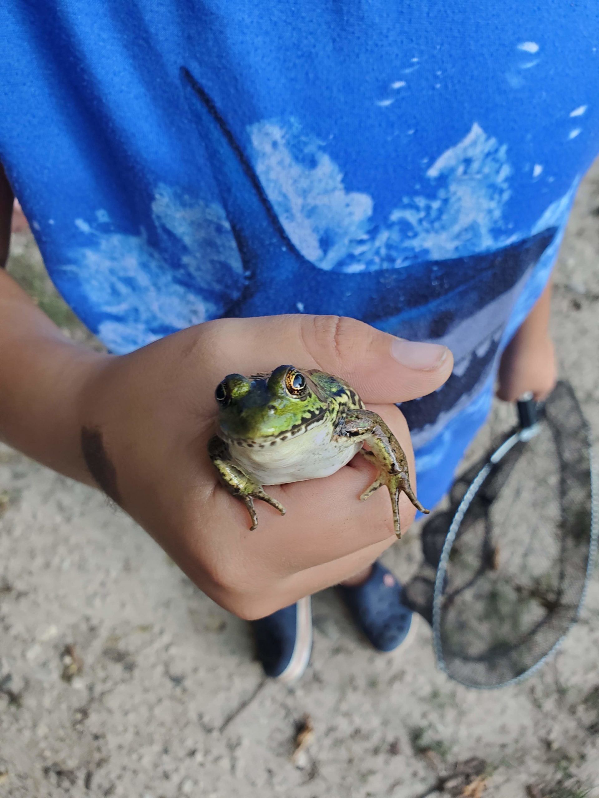 boy holding frog