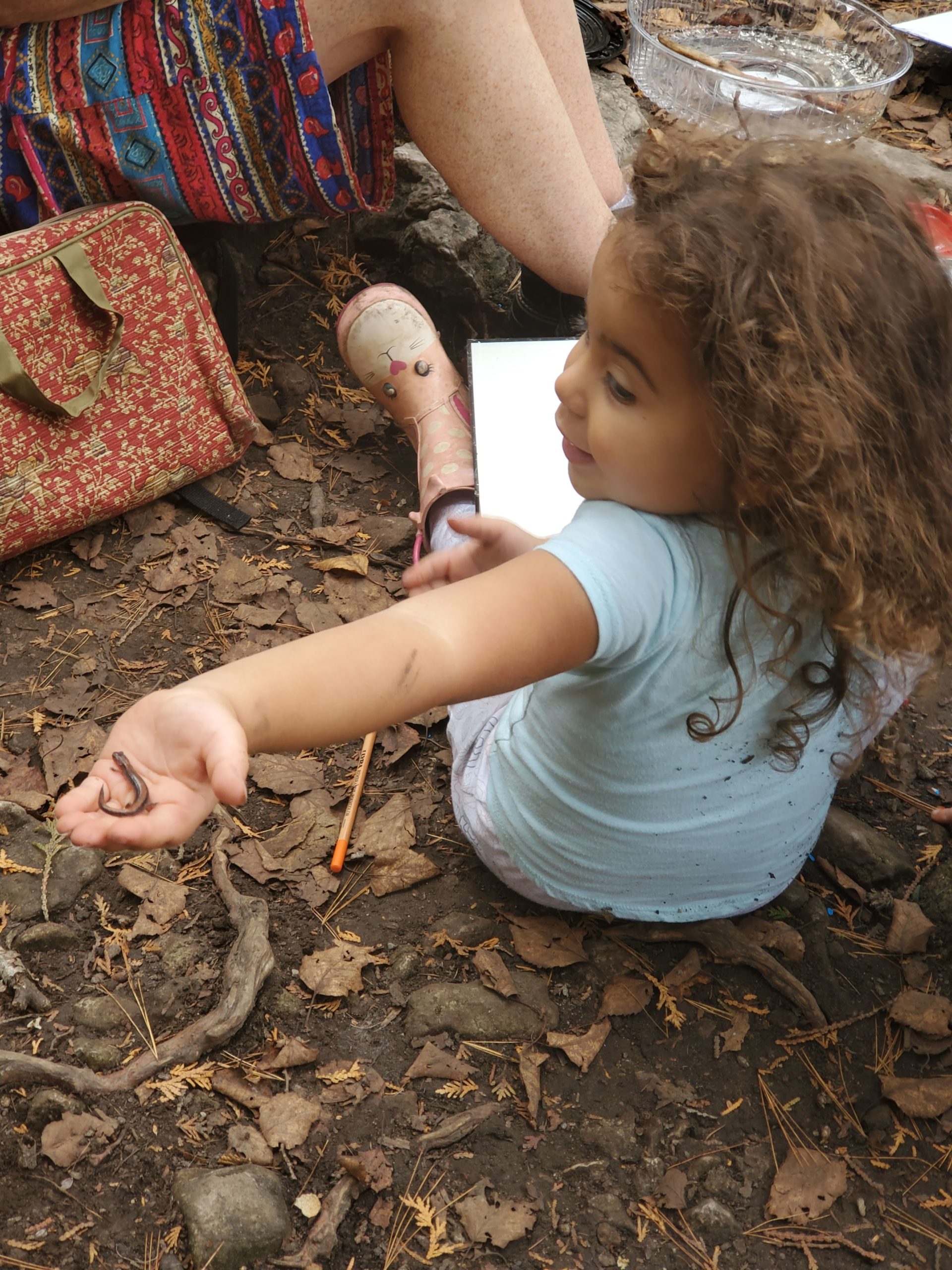 Learning at nature camp