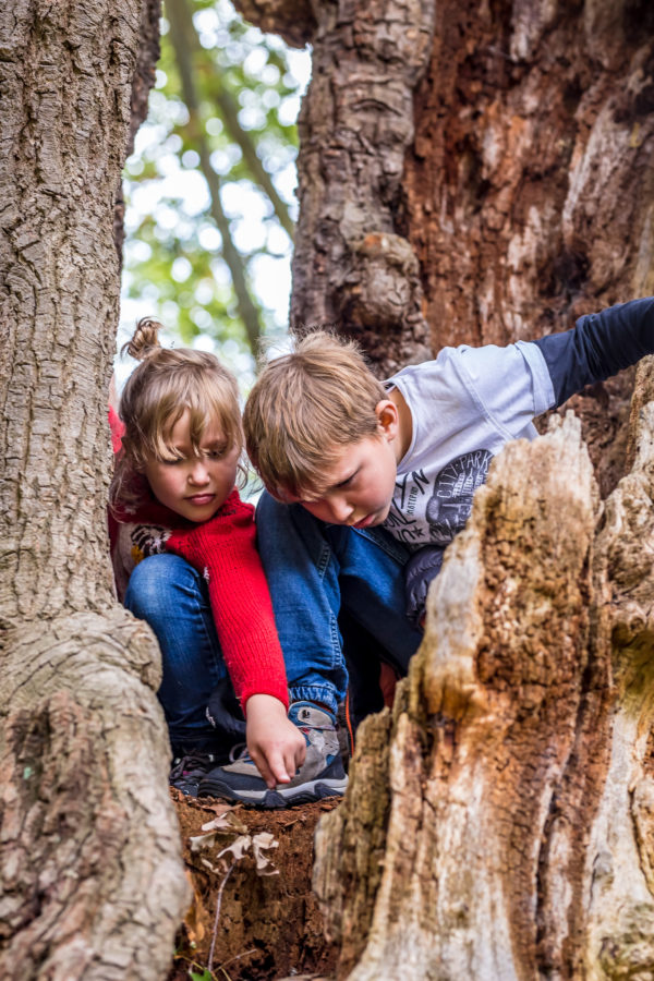 children playing around trees for summer camp